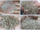 pellet
